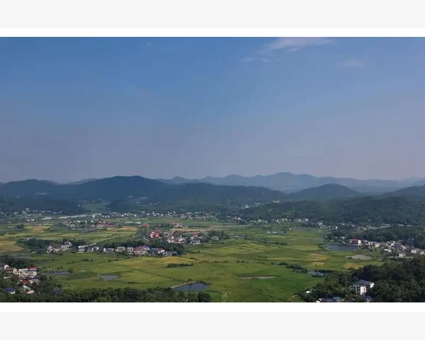 刮痧能吃甜食吗